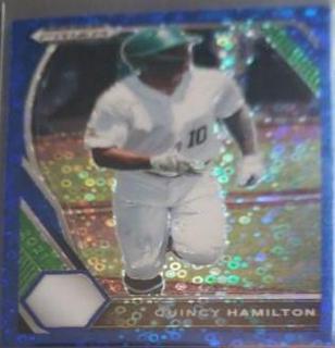 Quincy Hamilton