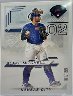 Blake Mitchell