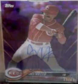 Joey Votto