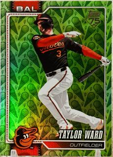 Taylor Ward
