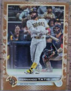 Fernando Tatis Jr.