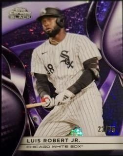 Luis Robert Jr.