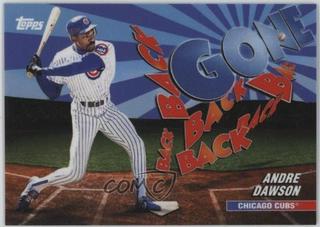 Andre Dawson