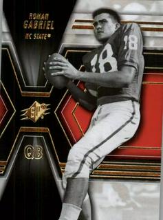 Roman Gabriel