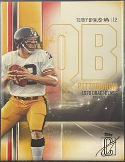 Terry Bradshaw