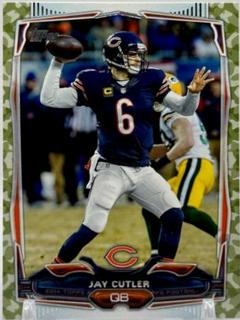 Jay Cutler