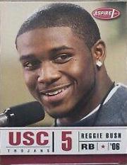 Reggie Bush
