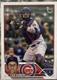 Yan Gomes