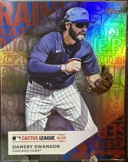 Dansby Swanson