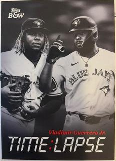 Vladimir Guerrero Jr.