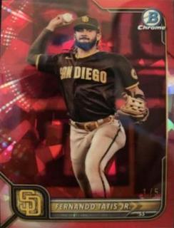 Fernando Tatis Jr.