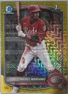 Naibel Mariano