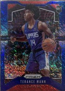Terance Mann