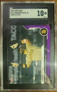 Fernando Tatis Jr.