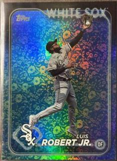 Luis Robert Jr.