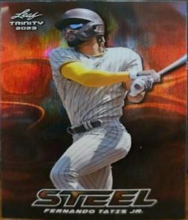 Fernando Tatis Jr.