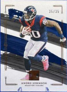 Andre Johnson