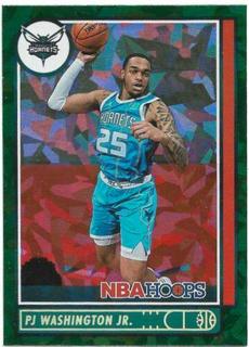 PJ Washington Jr.