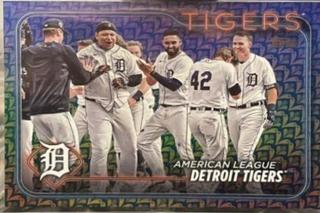 Detroit Tigers