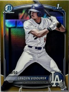 Landyn Vidourek