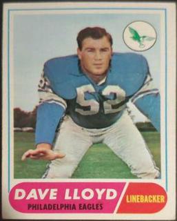 Dave Lloyd