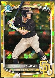 Ty Harvey