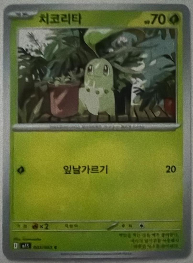 Chikorita