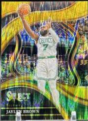 Jaylen Brown