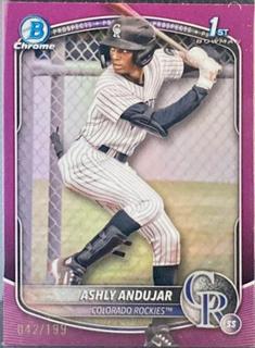 Ashly Andujar