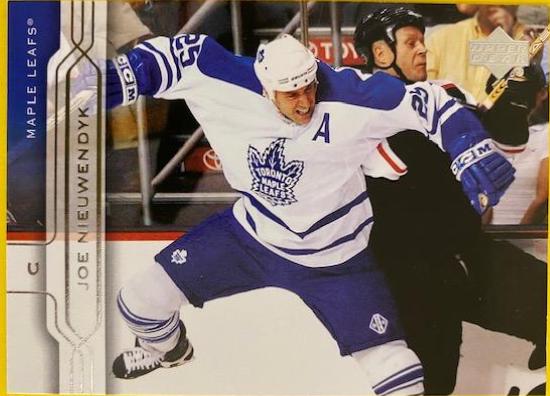 Joe Nieuwendyk #167 Hockey Cards 2004 Upper Deck
