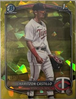 Haritzon Castillo