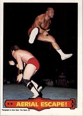 Aerial Escape #49 Wrestling Cards 1985 O Pee Chee WWF Series 2