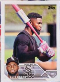 Luis Robert