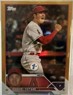Shohei Ohtani