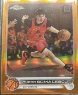 Tudor Somacescu