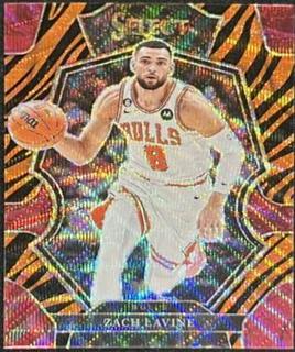 Zach LaVine