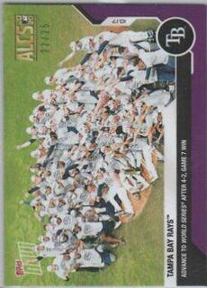 Tampa Bay Rays