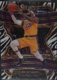 LeBron James [Zebra Prizm] #47 Prices | 2019 Panini Select