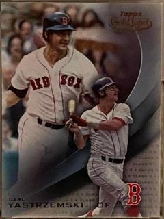 Carl Yastrzemski