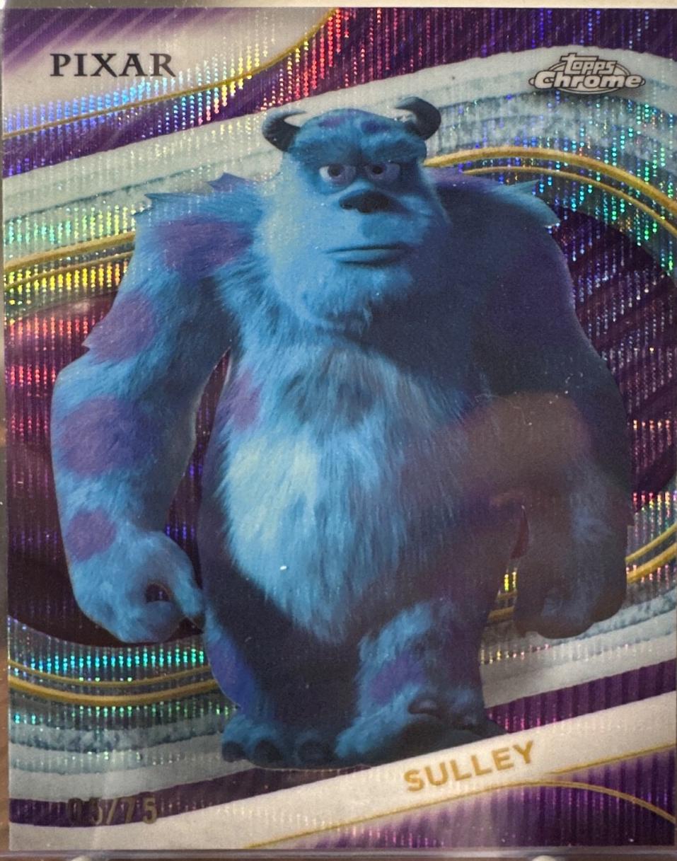 Sulley [Purple Wave Refractor] #5