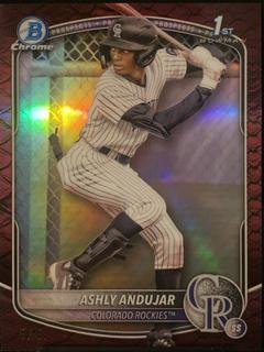 Ashly Andujar