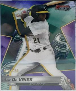 Leo De Vries