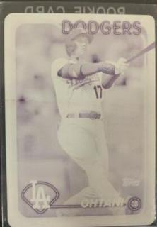 Shohei Ohtani