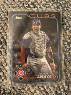 Miguel Amaya