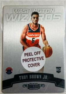 Troy Brown Jr.