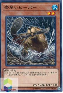 Nimble Beaver CIBR-JP040
