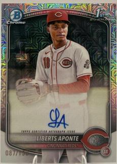 Liberts Aponte