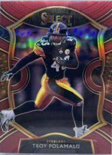 Troy Polamalu