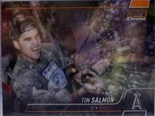 Tim Salmon