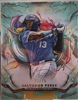 Salvador Perez